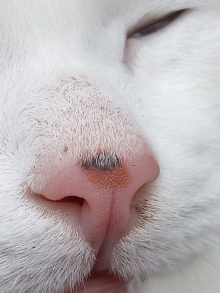 Photograph by Елена Мясникова