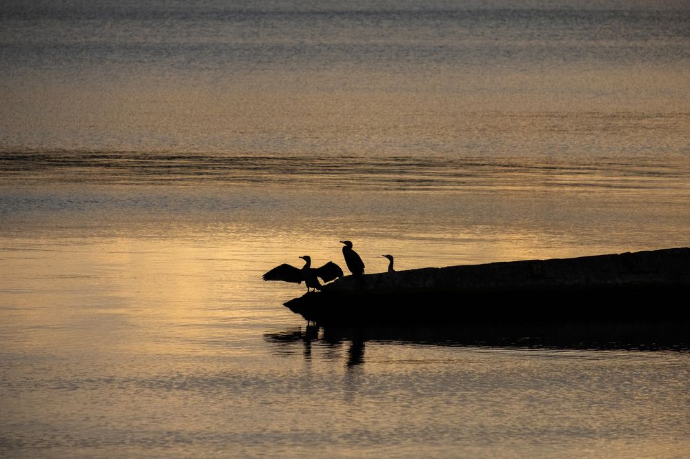 Photograph by Юрий Жарков