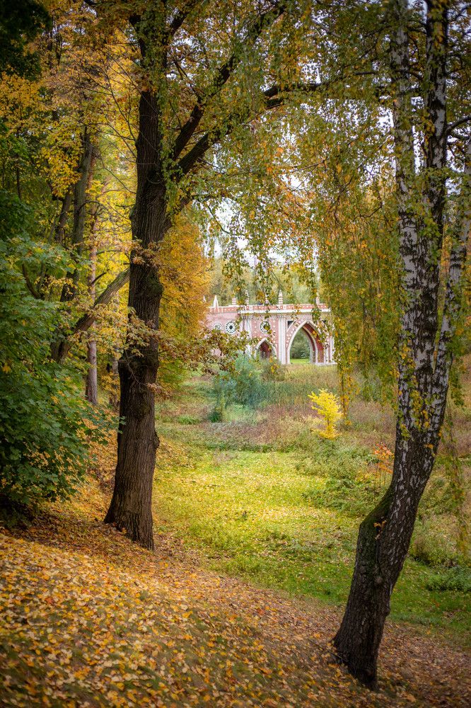 Photograph by Евгения Бочарова