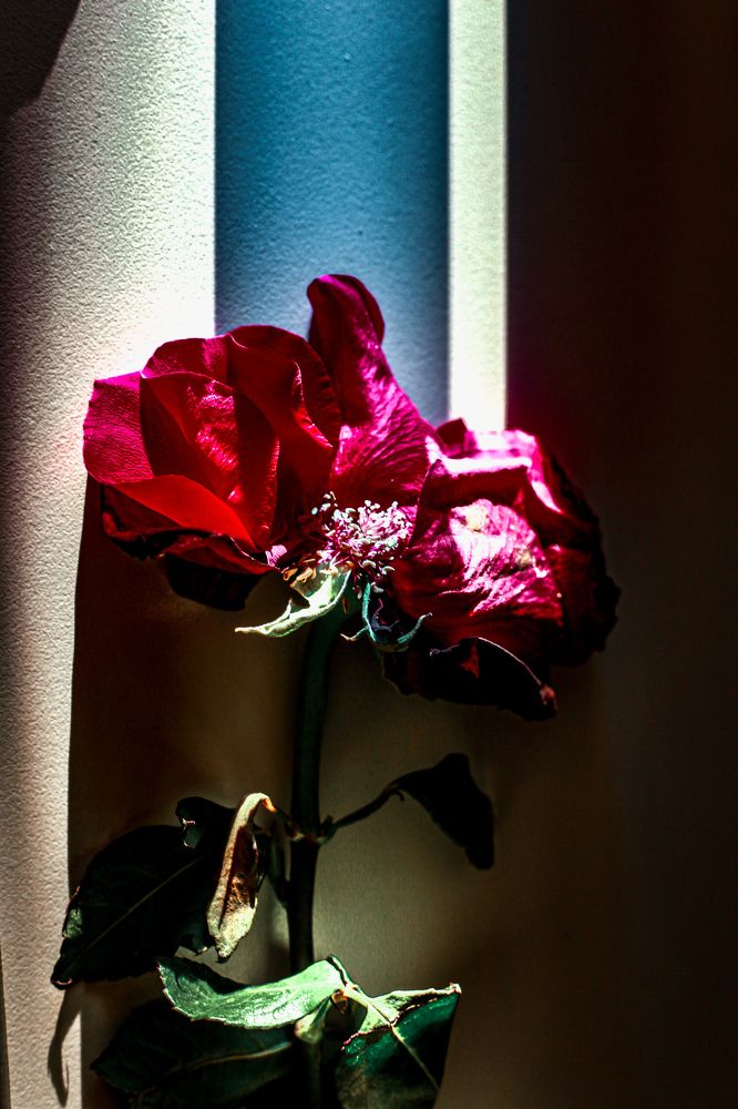 Фотография автора Ирина Якущенко