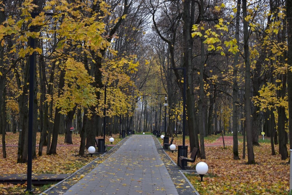 Photograph by natalya