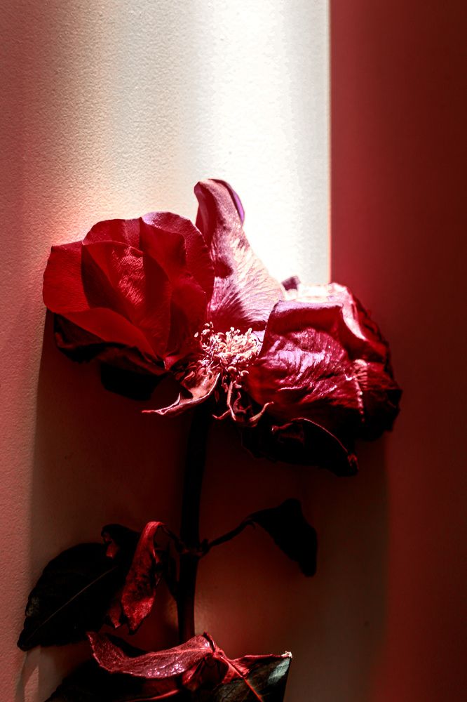 Фотография автора Ирина Якущенко