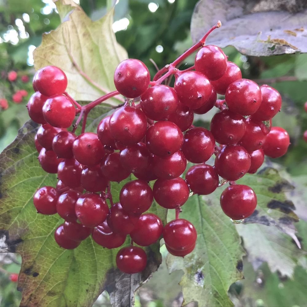Фотография автора Василий Здоровецкий