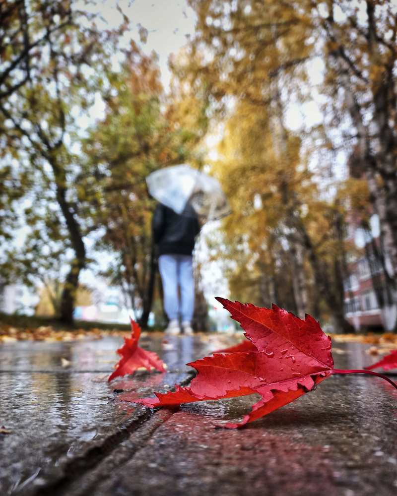 Фотография автора Елена Кичигина