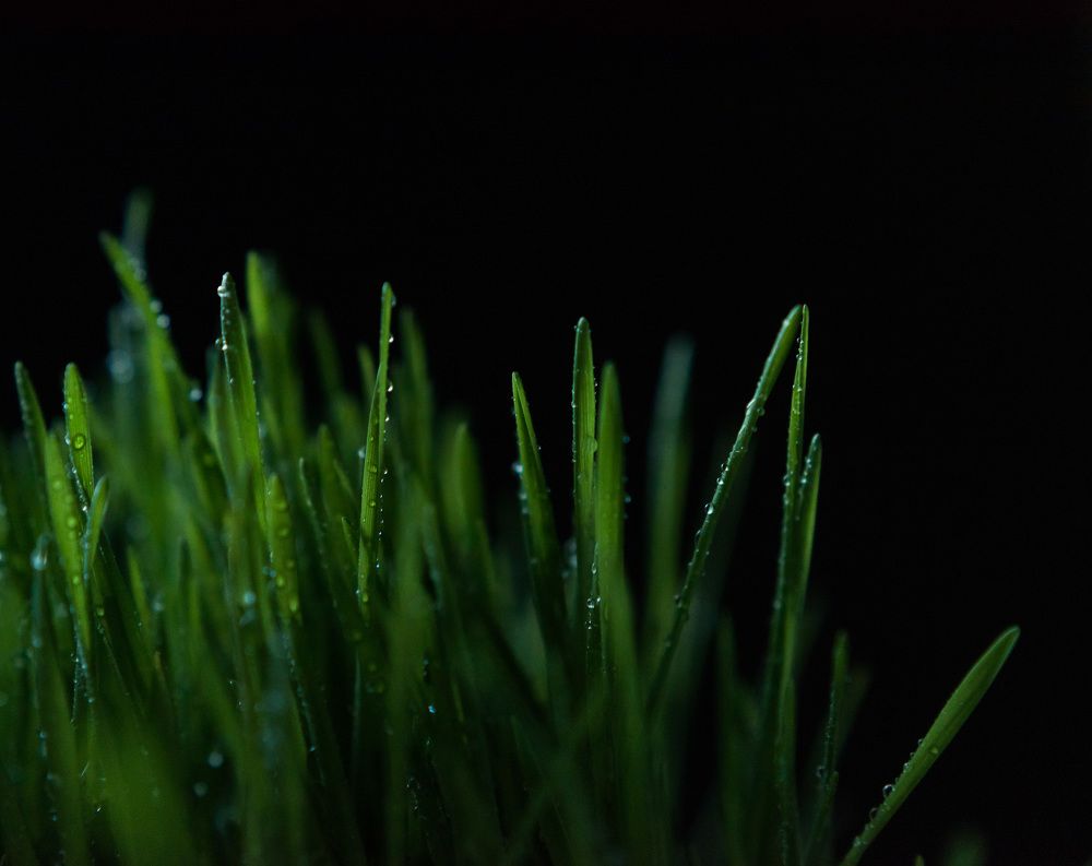 Photograph by Kristina Nutautiene