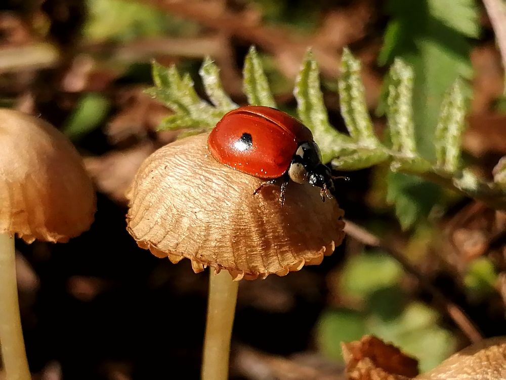 Photograph by Александра Зиновьева