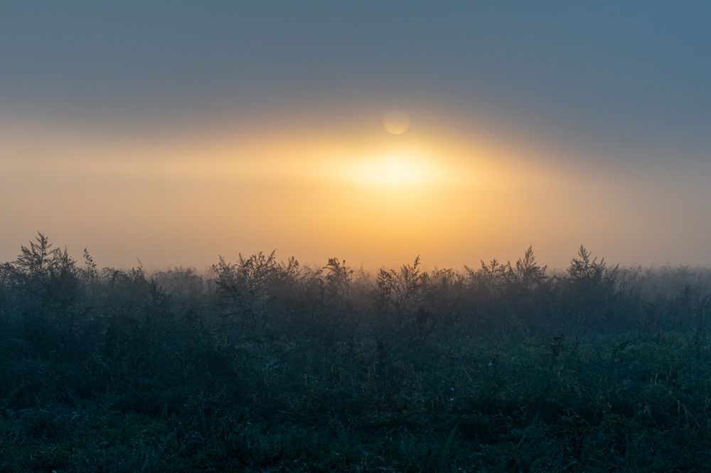 Фотография автора 