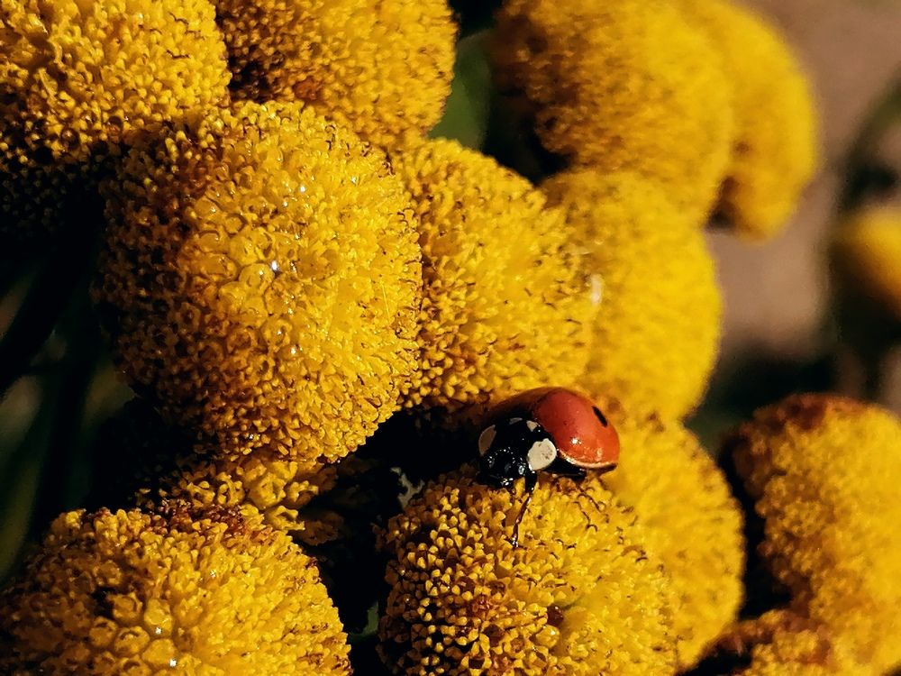 Photograph by Александра Зиновьева