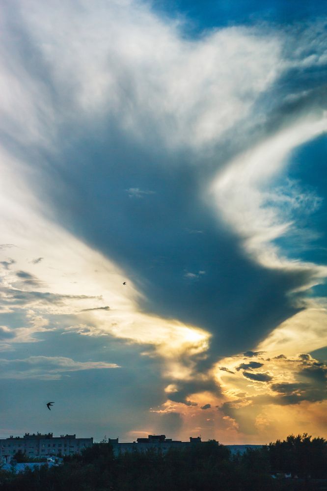 Небесные крылья