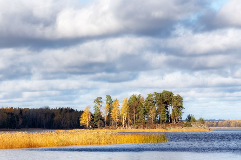 Photograph by Максим Калашников
