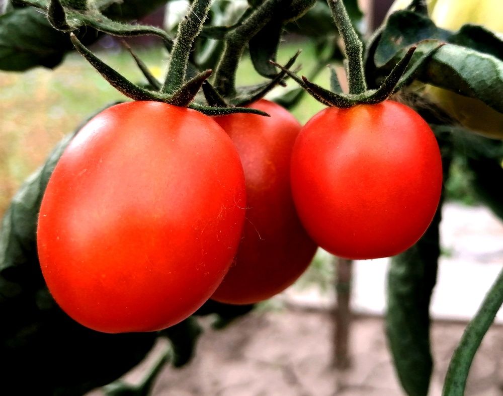 Photograph by Александра Зиновьева