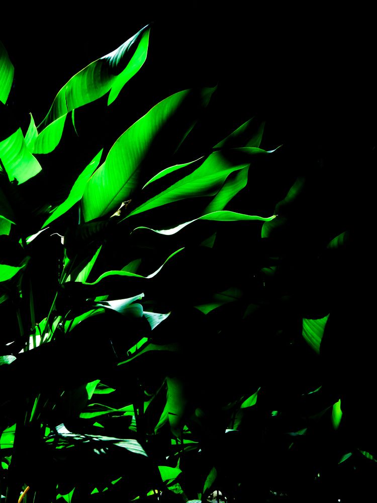 Photograph by Meryll Jo Rado