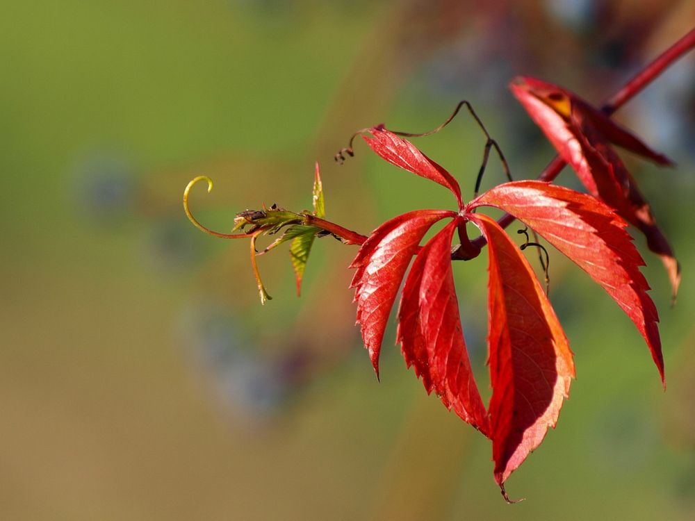 Photograph by Оксана Саранова