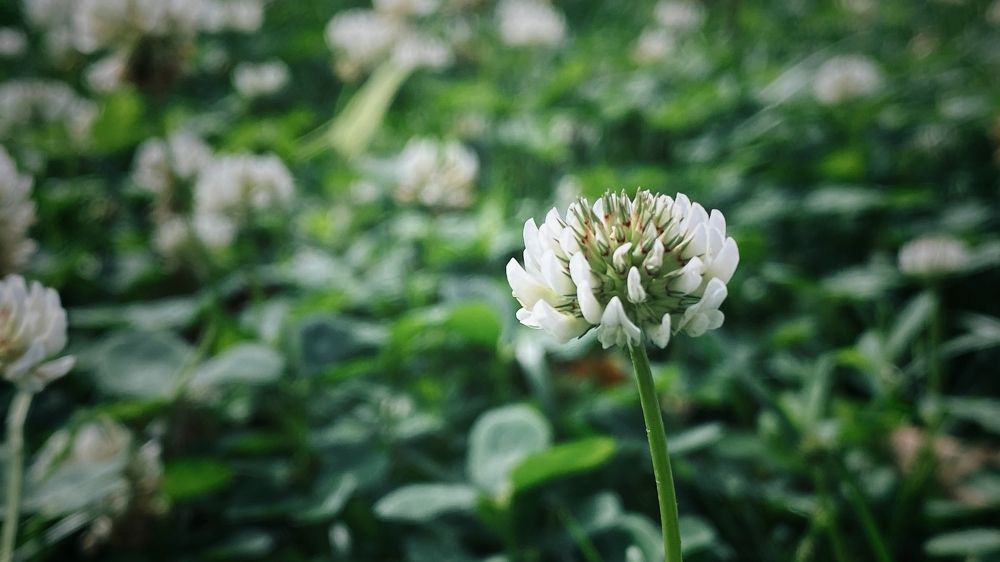 Photograph by Pavlova Maria