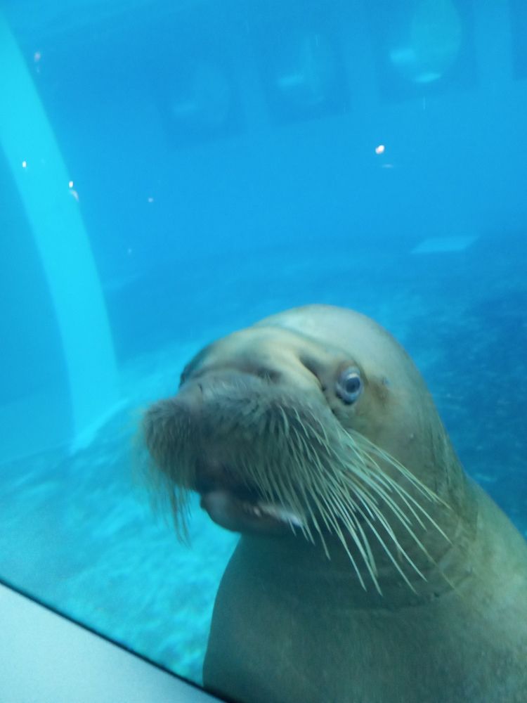 Photograph by Нина Гирнык