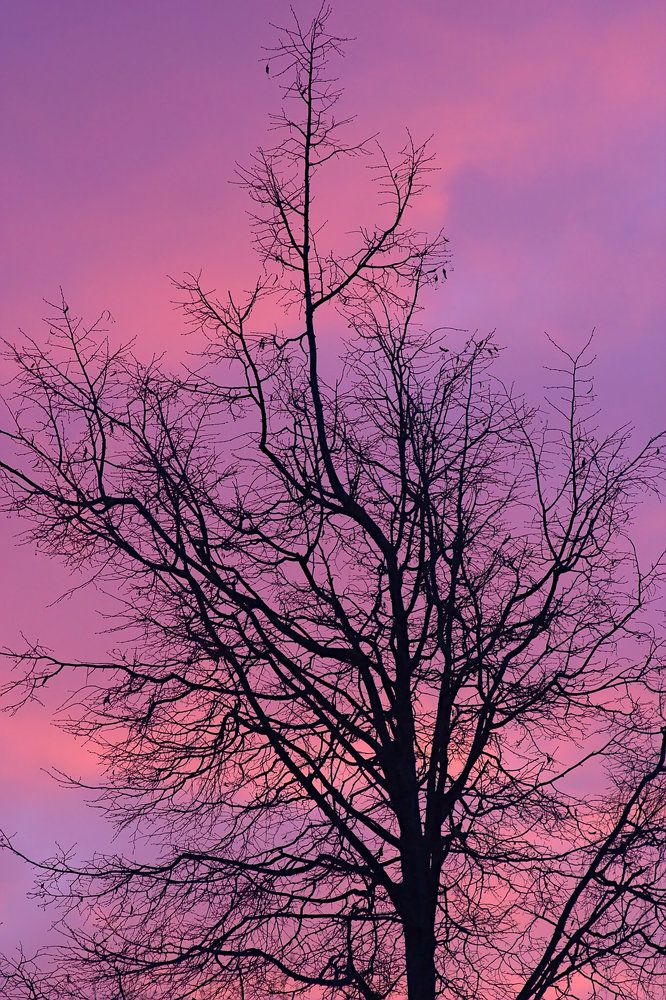 Photograph by Евгений Беленков