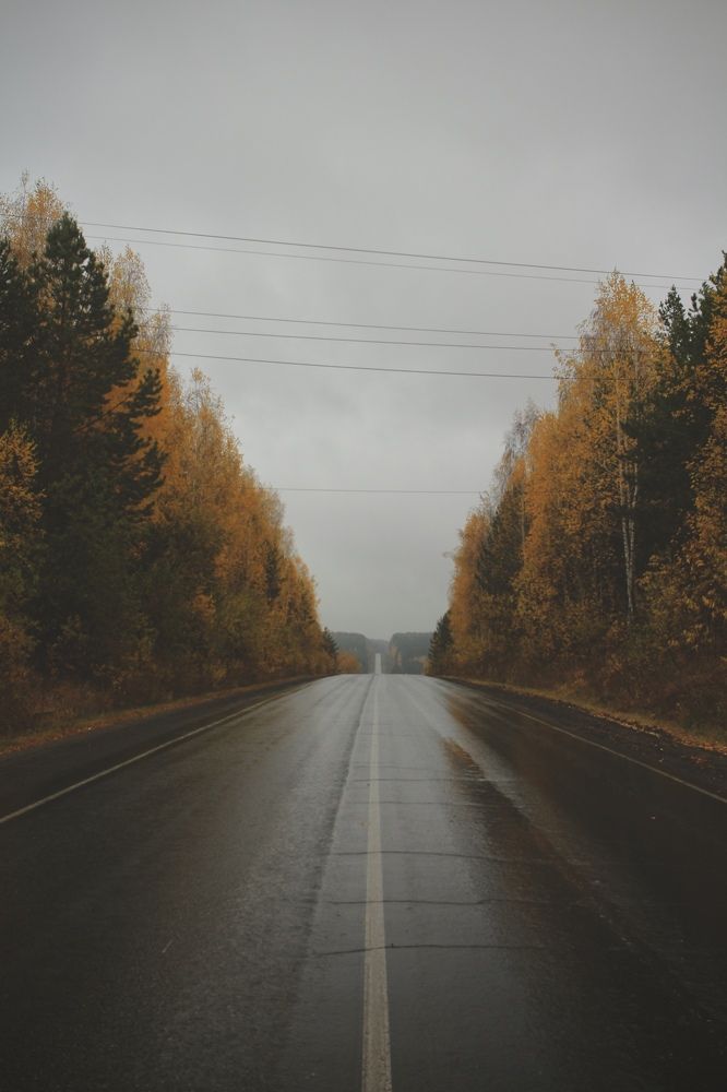 Photograph by Елена Змейкова