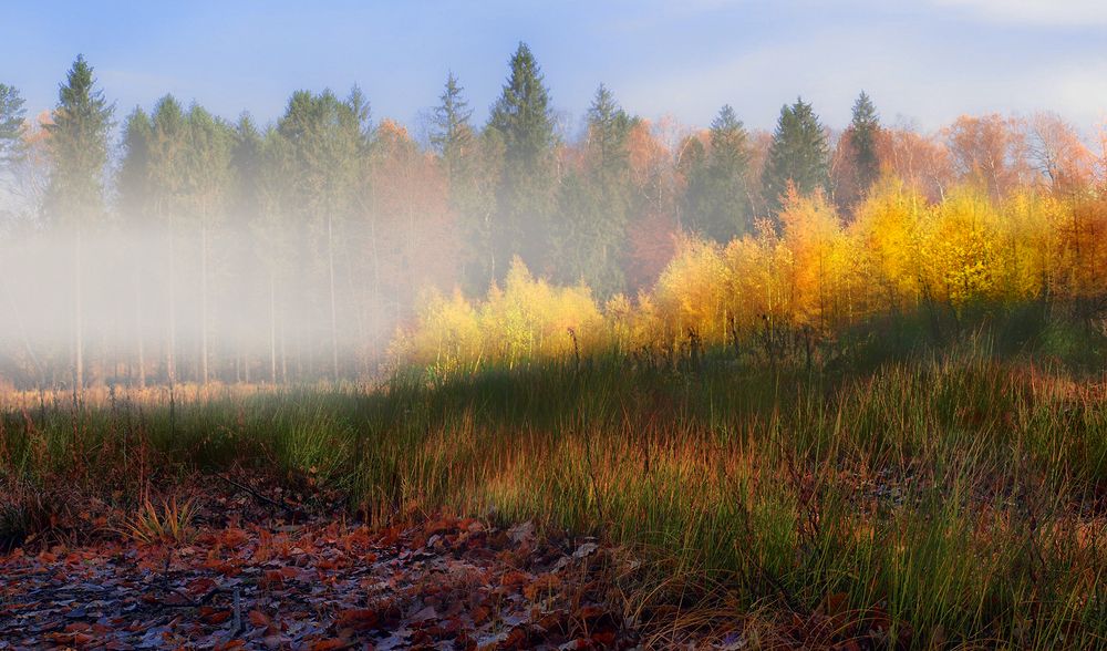 Photograph by Владимир