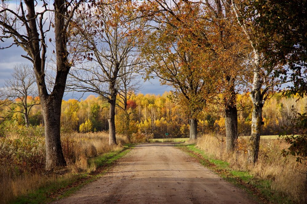 Photograph by Анастасия Радюк