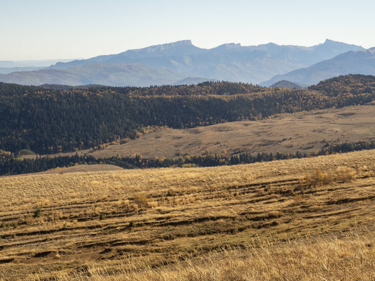 Photo #8250556