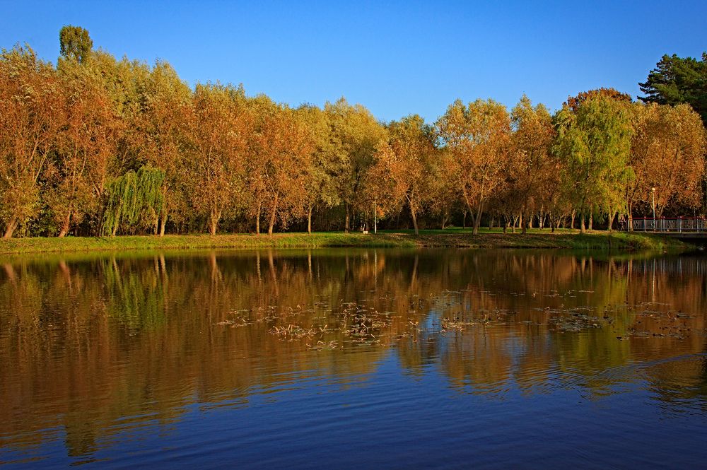 Photograph by Евгений Козлов