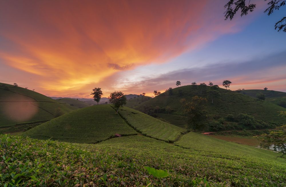 Photograph by Trần Anh Tuấn