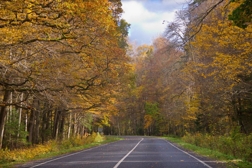 Photograph by Анастасия Радюк