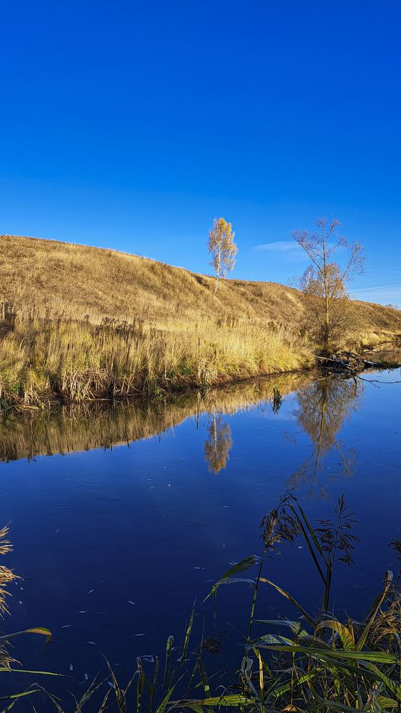 Photograph by Михаил Беляев