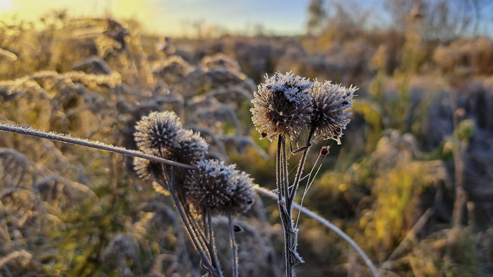 Photograph by Михаил Беляев