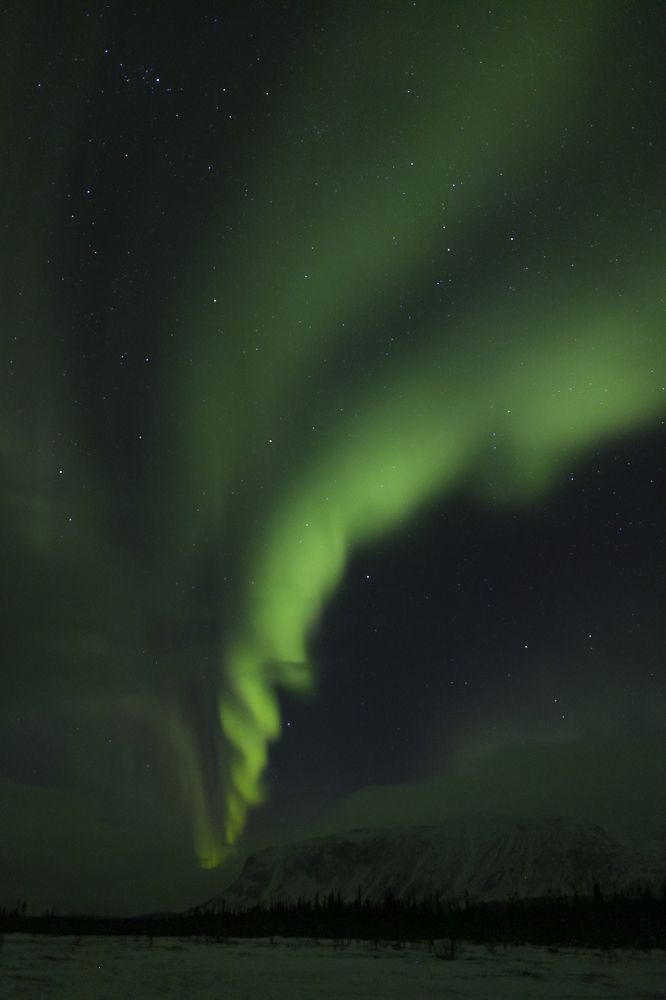 Photograph by Юлия Лазебная