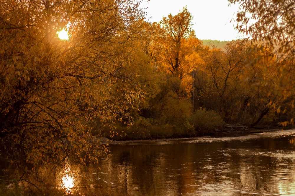 Photograph by Елена Рудь