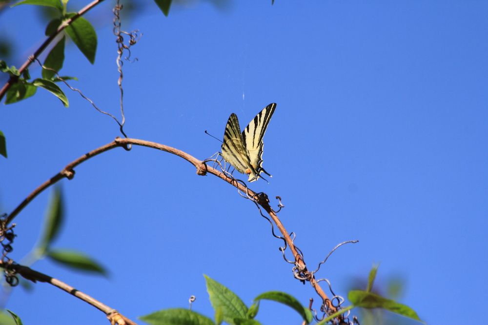 Photograph by Nadzeya