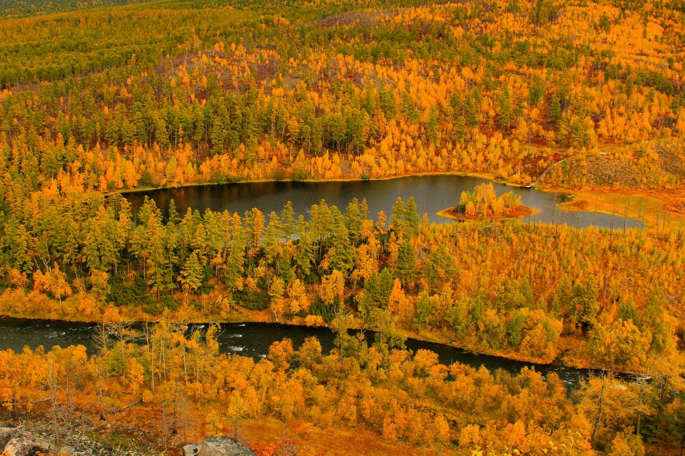 Photograph by Наталья Зайцева