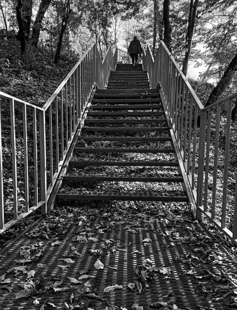 Photograph by Олег Башкуров