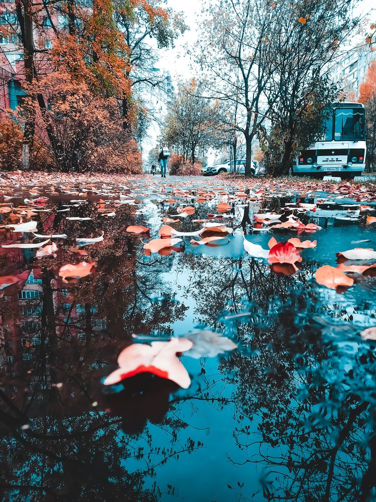 Photograph by Любовь Сухова