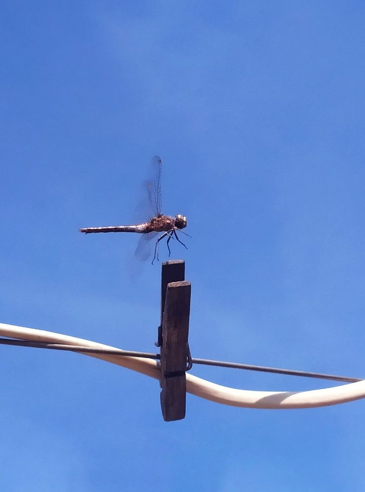 Photograph by Любовь Сухова