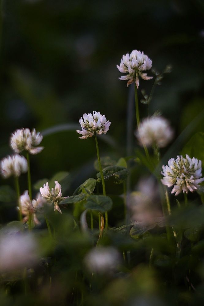 Photograph by Екатерина Кицмен