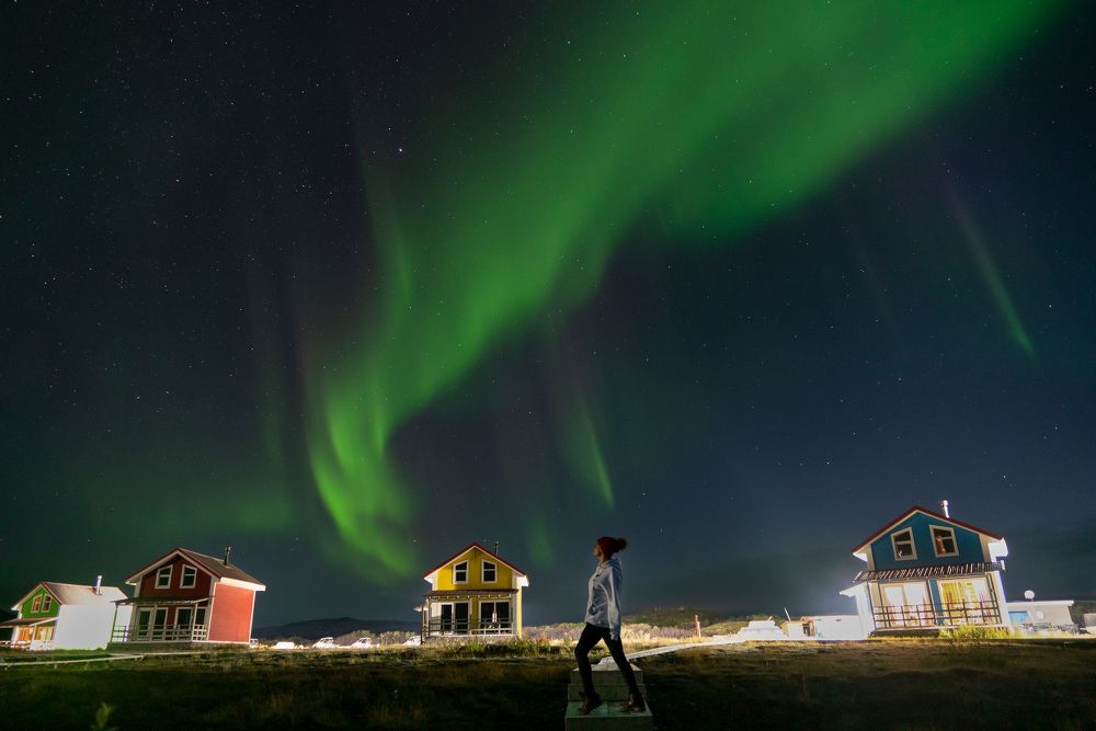 Алиса в стране чудес