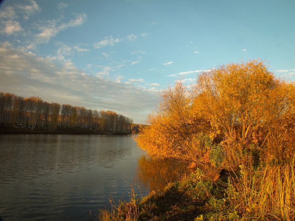 Осенний пруд.