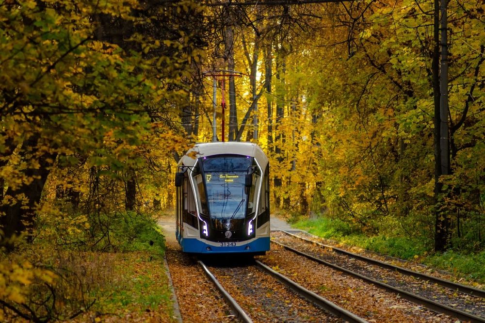 Photograph by Ольга Заповедная