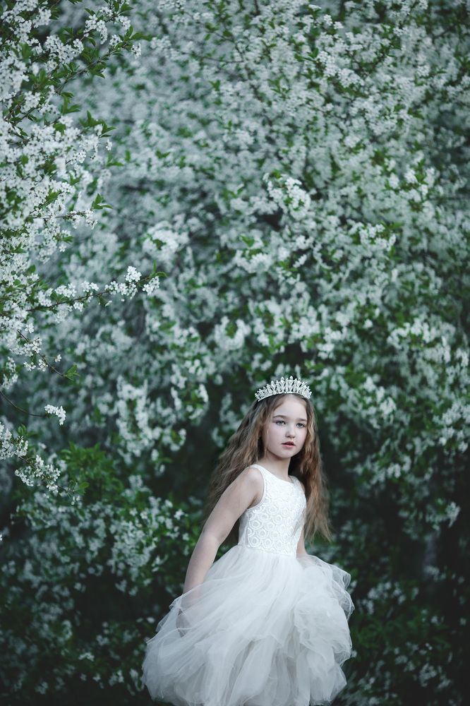 Фотография автора Решетченко Ольга