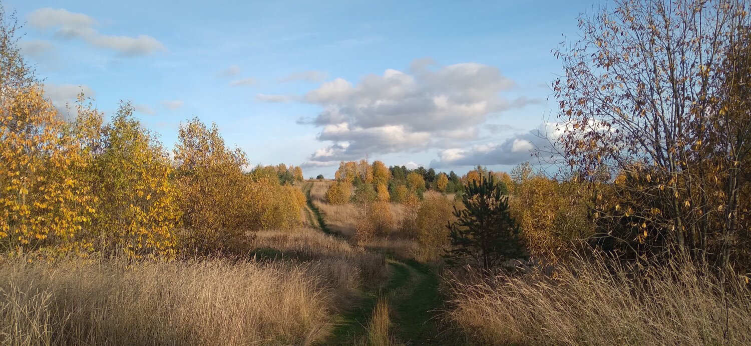 Photo #8250848