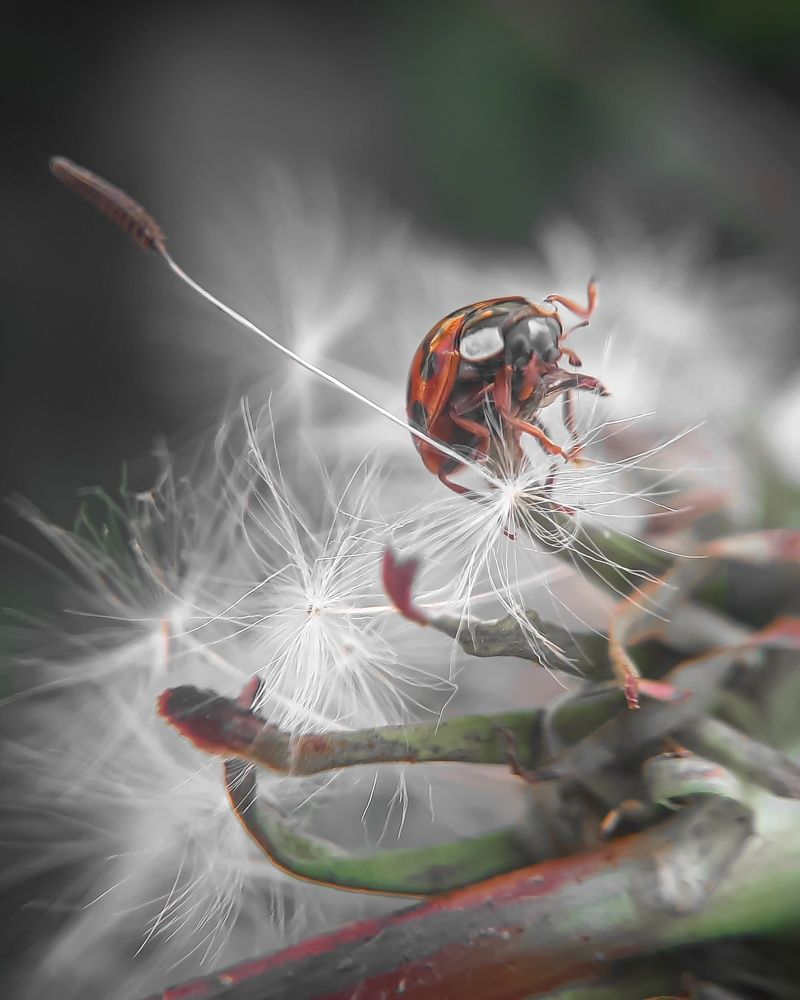 Photograph by Любовь Войтишина