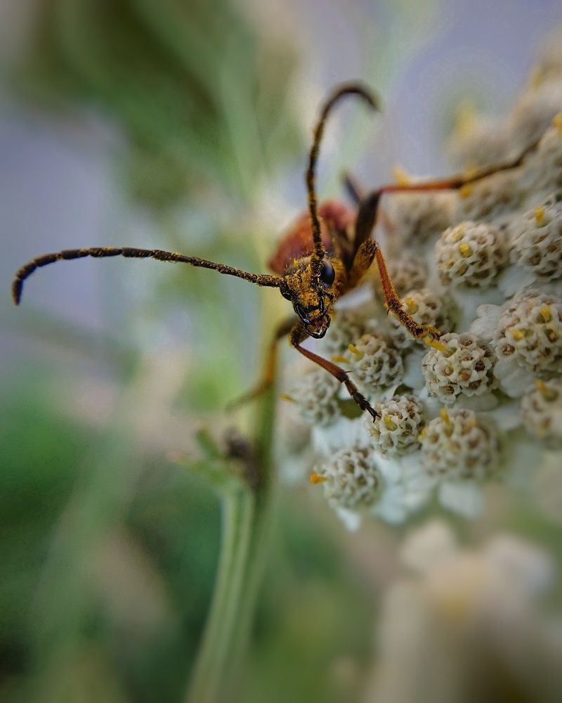 Photograph by Любовь Войтишина