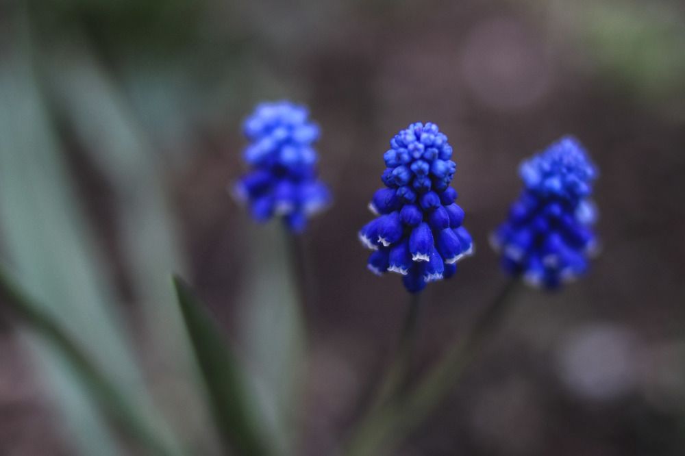 Photograph by Anna Turks