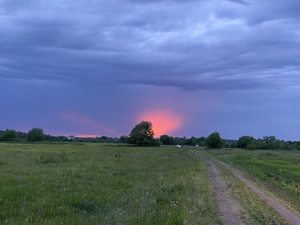 Photograph by Елена Гущина