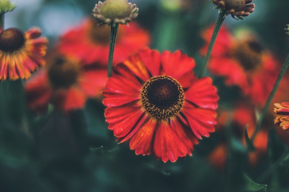 Photograph by Anna Turks