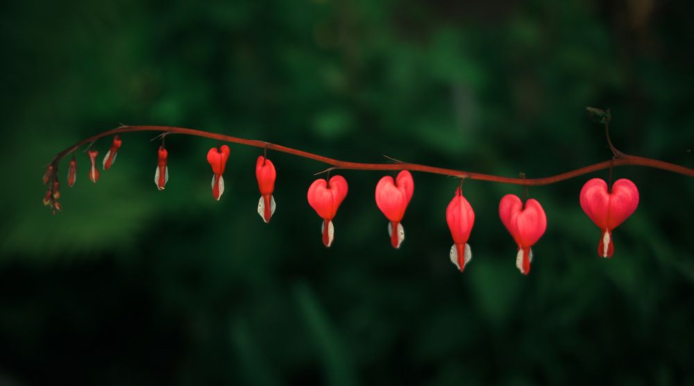 Photograph by Anna Turks