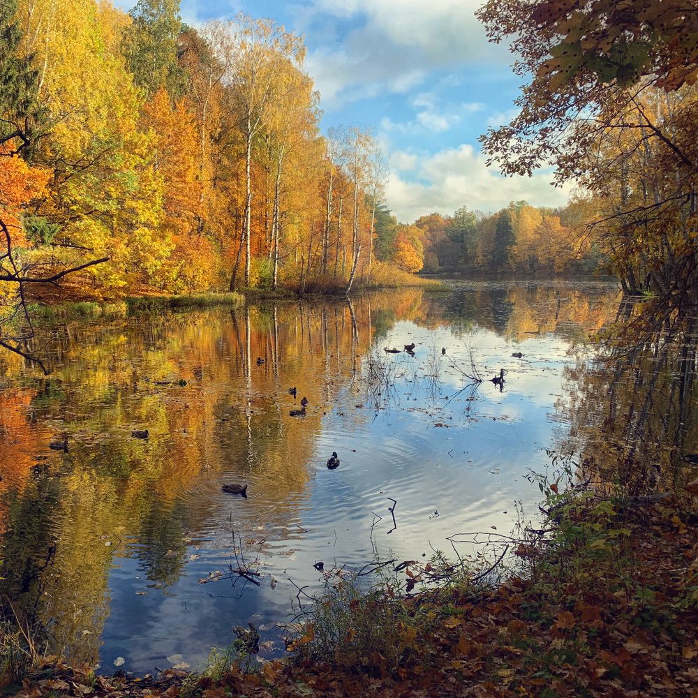 Photograph by Нина Глушинская