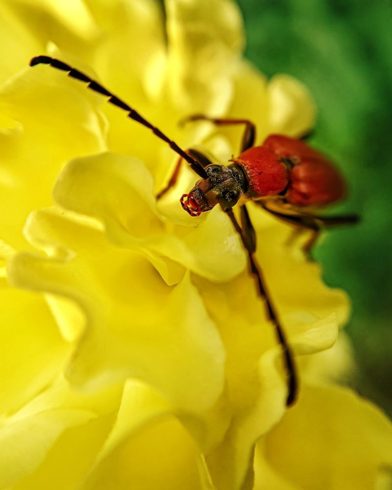 Photograph by Любовь Войтишина